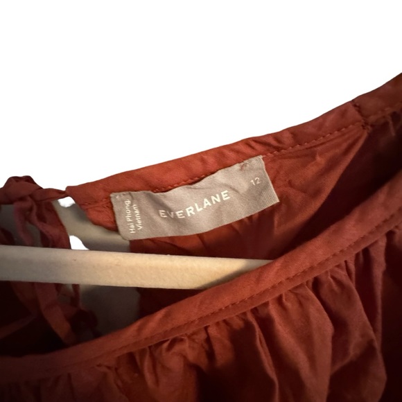 Everlane The Ruched Air Oversized Cotton Blouse - Burnt Sienna - Picture 4 of 5